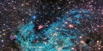 appearance of 500000 squid kids of the monster lantern near earth 131116