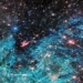 appearance of 500000 squid kids of the monster lantern near earth 131116