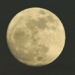 astronauts can eat food on the moon 130353