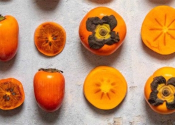 autumn fruits named as the fruits of the gods 10 amazing health benefits 129642