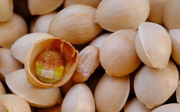 Ginkgo has been used as a medicinal herb in traditional medicine.