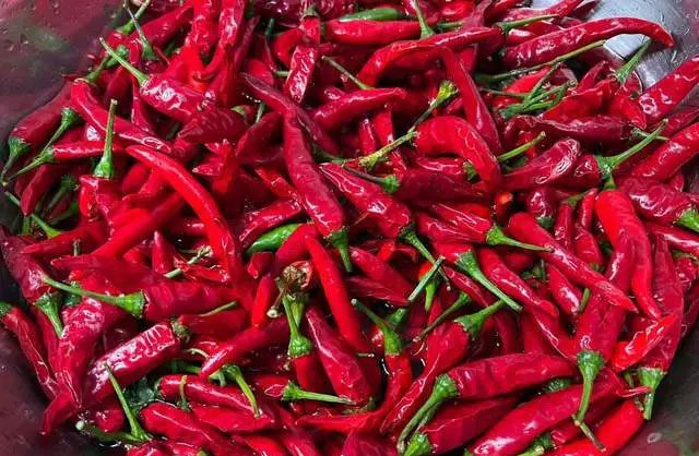Chili peppers bought in excess without proper storage can quickly wilt or rot.