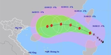 bao saola giat cap sieu bao 17 huong vao bien dong 129523