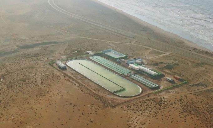 Algae cultivation pilot facility in Akhfenir, southern Morocco.