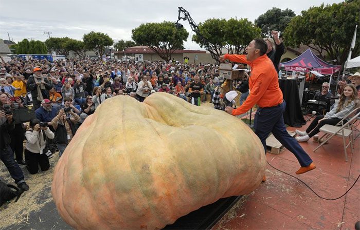 Travis Gienger (in orange) with this year's championship pumpkin.