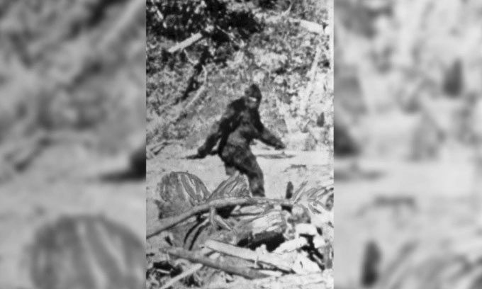 A photo of a creature believed to be Bigfoot in northeast Eureka, California in 1967