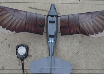 bird like airplane sets world record 130365