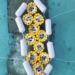 bird structure system in the middle of the sea 129261