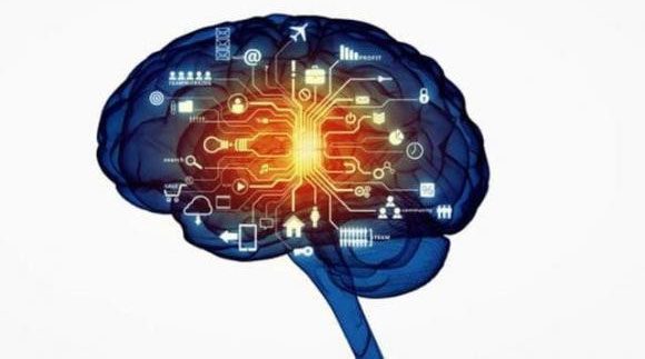 Human memory is divided into various levels