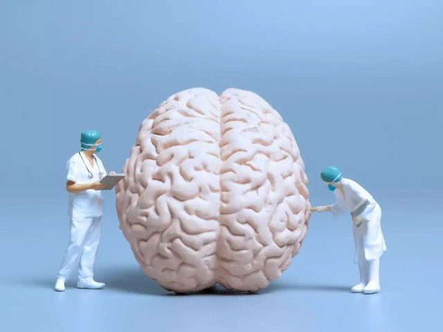 Learning new skills can help revitalize the brain.