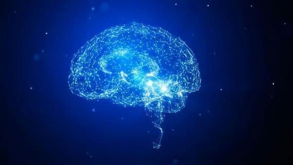 Some active neurons generate random bioelectrical signals when humans sleep.