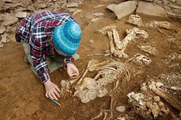 The prehistoric skeletons from 5,000 years ago.