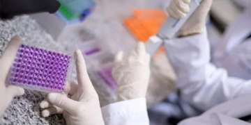 brazil develops vaccine treatment cocaine addiction 130636