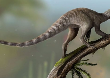 brazil reveals giant bird eating dinosaur 129352