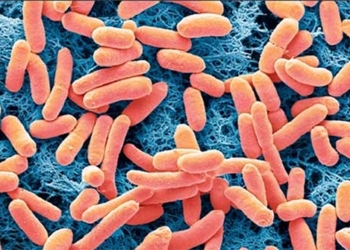 breakthrough in electronic manufacturing using e coli 129832