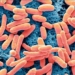 breakthrough in electronic manufacturing using e coli 129832