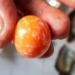 buy snails to eat men surprisingly exchange the smallest thing is orange 129478