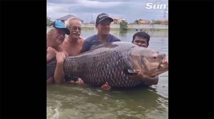 Kelvin Marston proudly poses with the giant carp.