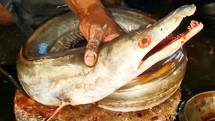 The lạc fish is divided into two types.