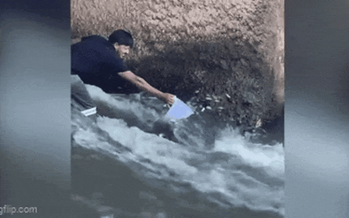 Scene of "fish jumping into the bucket themselves."
