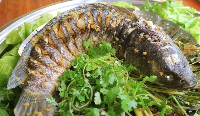 Snakehead Fish