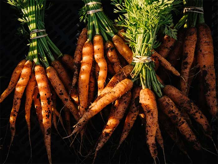 Carrots