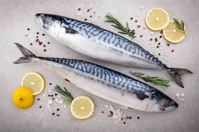 Atlantic Mackerel