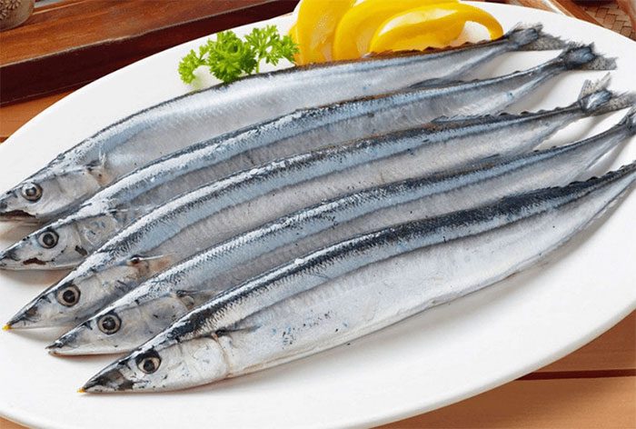 Japanese Mackerel