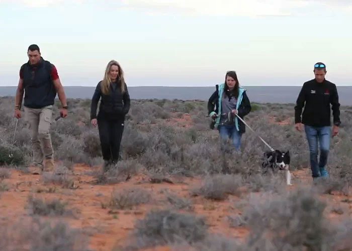 Conservationists of De Winton's Golden Mole