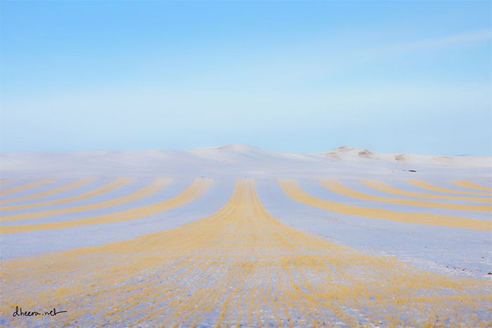 Fields mixed with white snow in winter.