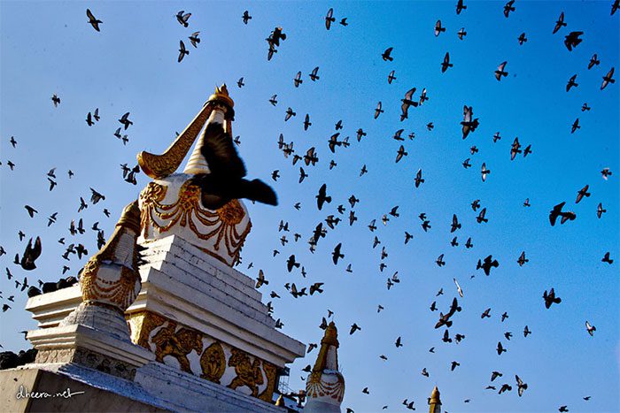 A corner of a Buddhist monastery in Mongolia.