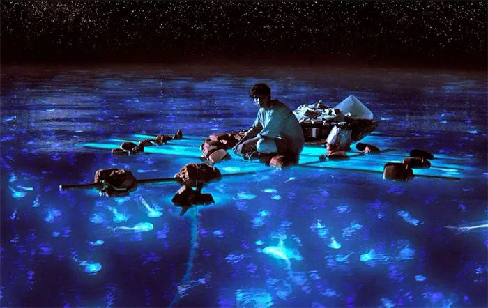A scene from the movie "Life of Pi"