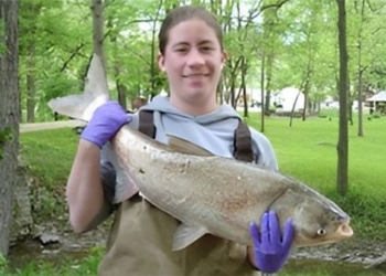 carp harmful threat south dakota usa 131064