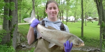 carp harmful threat south dakota usa 131064