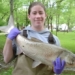carp harmful threat south dakota usa 131064