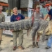 catching monster alligators in mississippi 129540