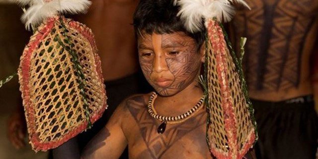 A boy wearing gloves to be stung by ants according to the Satere Mawe tribe's tradition.