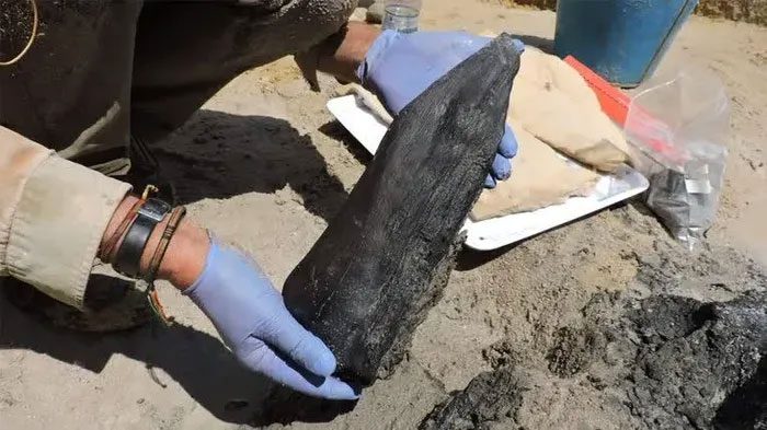 Part of the wooden structure found.