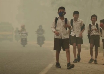 causes of hidden anaphylaxis in rainy and foggy weather very dangerous 131462