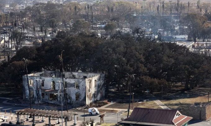 The 150-year-old banyan tree scorched from above on August 11.