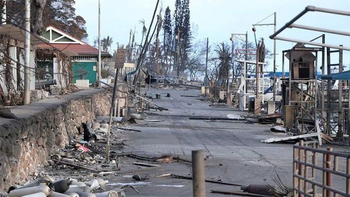 Some trees may stand firm or be less affected by the fire.