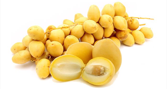 Dates belong to the Phoenix genus originating from the regions around the Persian Gulf