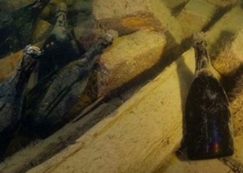 champagne can be drunk after 170 years under the sea 131340
