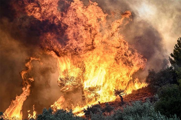 Flames erupting at a wildfire near Prodromos