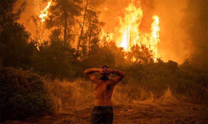 Wildfire