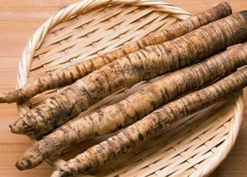 cheap vegetables that are like may thanh loc mau and prevent cancer 131427