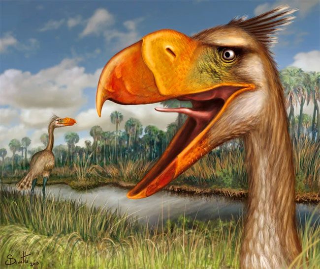 Portrait of the terror bird when it existed