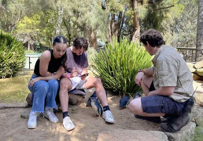 Visitors seeking information about the penguins at their feet.