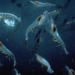 china accidentally discovers gold mine beneath the sea after huge amount of fish can support 1 4 billion people 129668