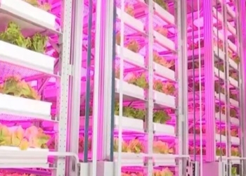 china builds worlds highest automated farm managed by ai 131401
